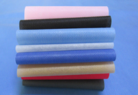 麟游涤纶(PET)无纺布是什么